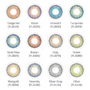 clearcolor 55 monthly 2er Box (ClearLab)